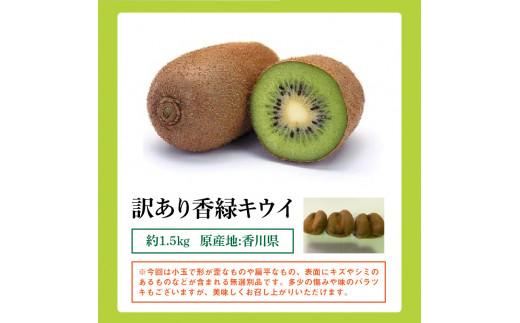 訳あり 無選別品 香川県オリジナル品種　香緑キウイ　約1.5kg【2025年12月上旬～2026年3月下旬配送】
