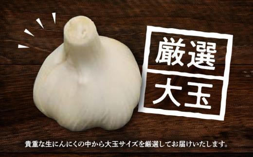 厳選大玉 生にんにく 約2.5kg【2026-5月上旬～2026-6月上旬配送】