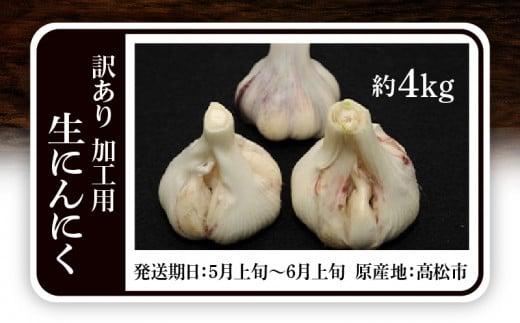 加工用 訳あり 生にんにく 約4kg【2026-5月上旬～2026-6月上旬配送】