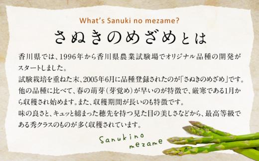 柔らかさと甘みが際立つ さぬきのめざめ春芽 約800g【2026-1月下旬～2026-2月下旬配送】