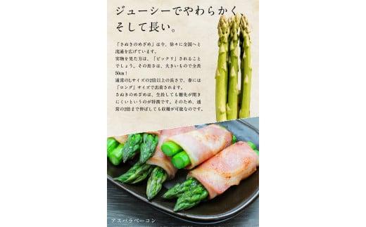 訳あり 柔らかさと甘みが際立つ さぬきのめざめ春芽 約1.2kg【2026-3月上旬～2026-4月下旬配送】