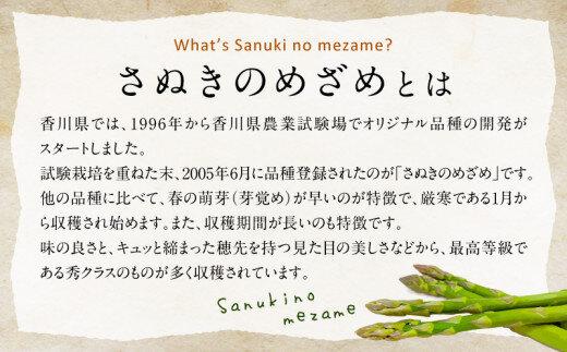 柔らかさと甘みが際立つ さぬきのめざめセミロング30cm(Lサイズ以上) 約1kg【2026-3月上旬～2026-6月下旬配送】