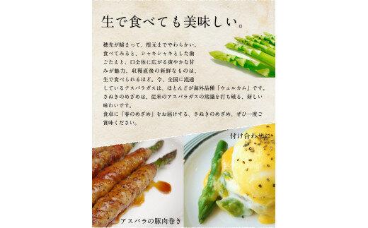 ご家庭用 さぬきのめざめセミロング30cm(細物・サイズ混合) 約700g【2026-3月上旬～2026-6月下旬配送】