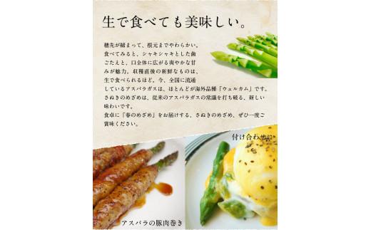 びっくりロ～ングサイズ さぬきのめざめロング約50cm 約2kg【2026-2月中旬～2026-4月下旬配送】