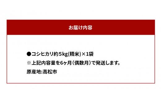 【6ヶ月定期便】計約30kg 偶数月 おいしいコシヒカリ約5kg