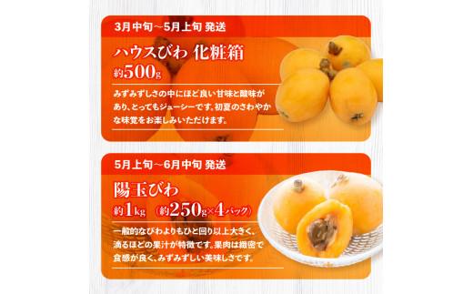 季節のフルーツ  厳選 高松市 12回 [旬な季節に合計12回発送]定期便N