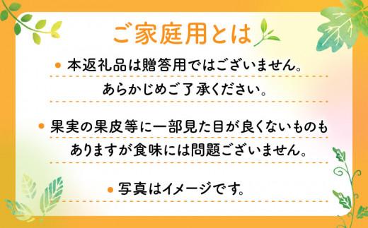 【訳あり】ご家庭用小原紅早生みかん(サイズおまかせ)　約2.5kg【11月下旬～1月下旬配送予定】