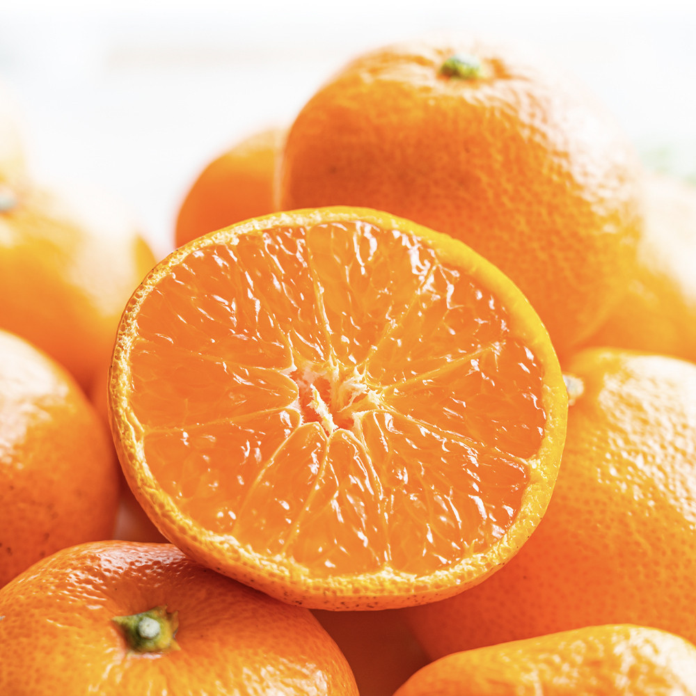 瀬戸内温州みかん（2L～Mサイズ混合）約5kg【2026年10月中旬～2027年1月下旬配送】