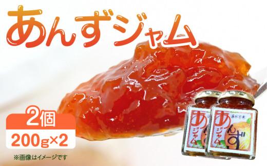 ※受付終了※あんずジャム　2個