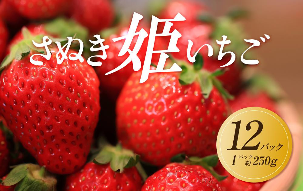 【2026年1月中旬より順次発送】さぬき姫いちご　12パック(1パック約250g)｜果物 くだもの フルーツ イチゴ いちご 苺 さぬきひめ 先行予約 人気 おすすめ ギフト