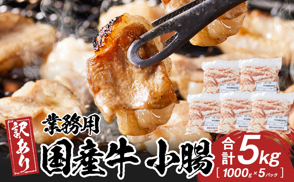 《業務用・訳アリ》国産牛　小腸　5kg