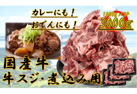 国産牛　スジ　3kg