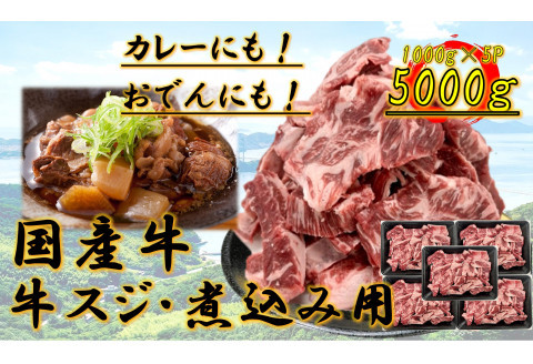 国産牛　スジ　5kg