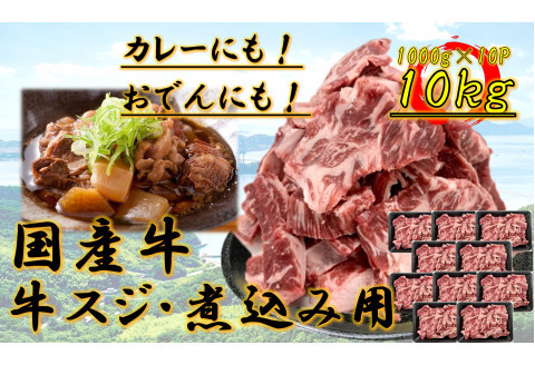 国産牛　スジ　10kg