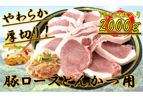 柔らか厚切り！豚ロースとんかつ用　2kg(18～22枚入り)