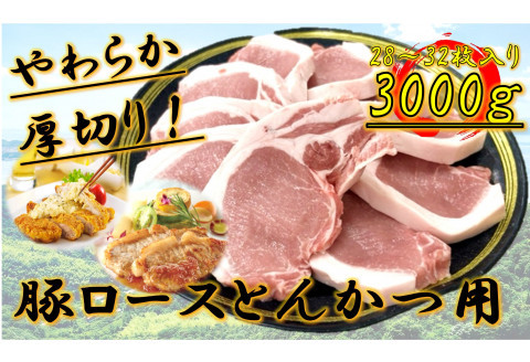 柔らか厚切り！豚ロースとんかつ用　3kg(28～32枚入り)