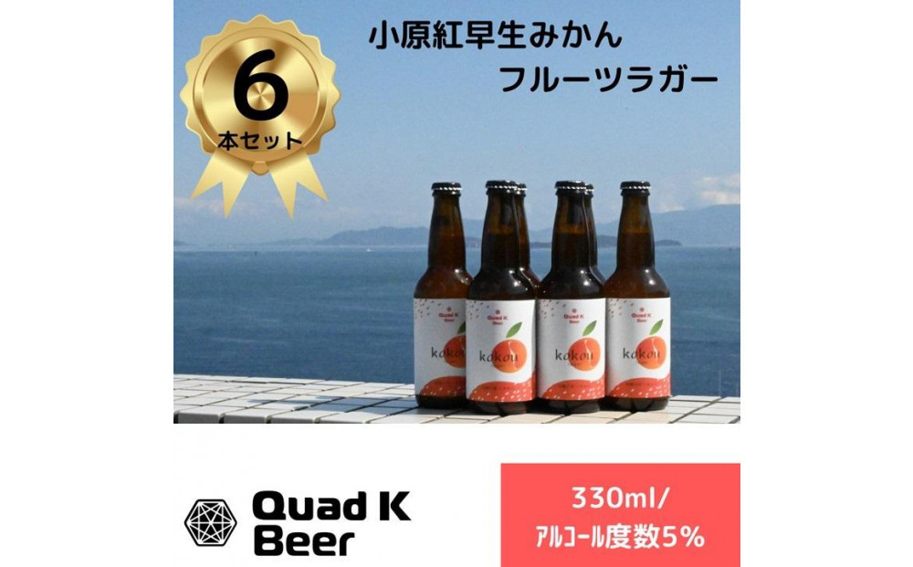 香川県産クラフトビール「Quad K Beer」 kokou 計6本