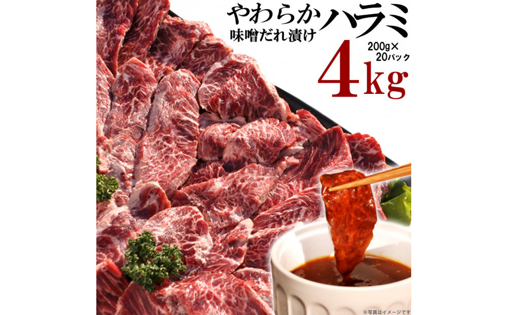 やわらかハラミ味噌だれ漬け4kg（200ｇ×20）