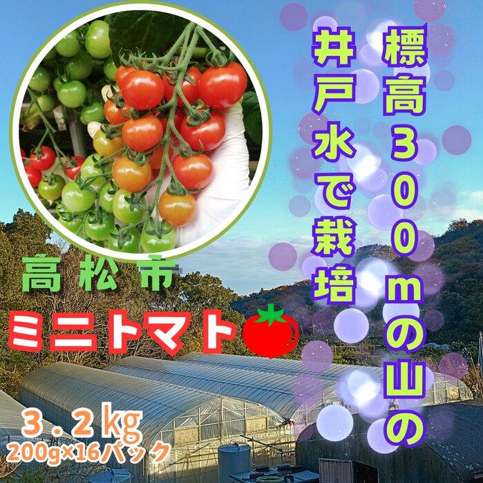 ミニトマト3.2kg (200g×16パック詰め）