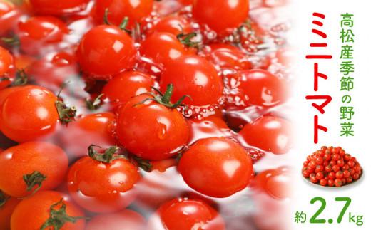 ミニトマト約2.7kg【2025-11月上旬～2026-6月中旬配送】