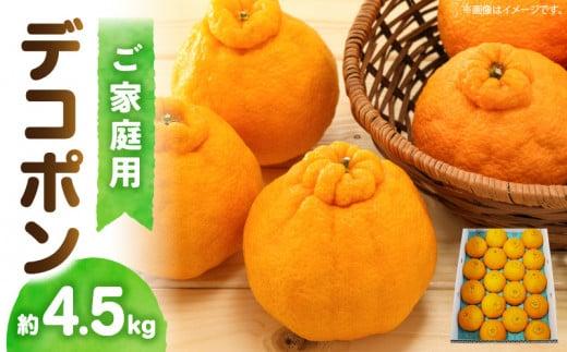 高松産季節の果物＜ご家庭用　デコポン＞約4.5kg【2026年2月下旬～2026年4月上旬配送】
