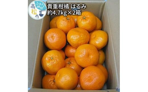 貴重柑橘　はるみ　約4.7kg×2箱【2026年2月上旬～2026年3月中旬配送】