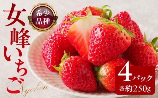 希少品種　女峰いちご4パック(各約250g)【2026年1月中旬～2026年6月上旬配送】