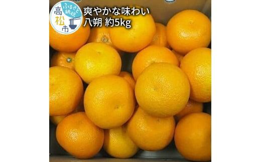 爽やかな味わい 八朔 約5kg【2026年2月中旬～2026年3月下旬配送】