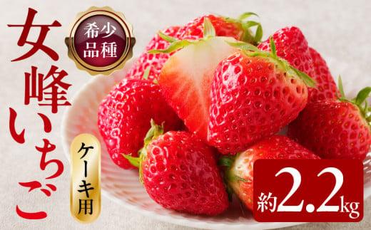 希少ないちご ケーキ用 女峰いちご 約2.2kg【2026年1月上旬～2026年5月下旬配送】