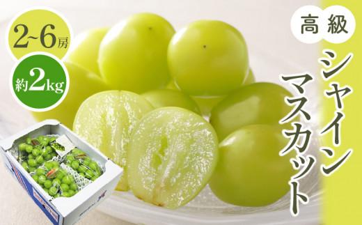 高級 シャインマスカット 約2kg 【2026-8月中旬～2026-9月下旬配送】