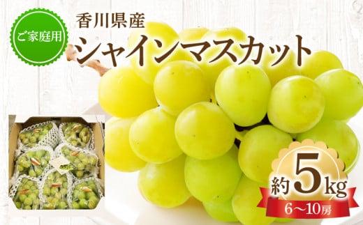 ご家庭用 シャインマスカット 約5kg 【2026-8月下旬～2026-9月下旬配送】