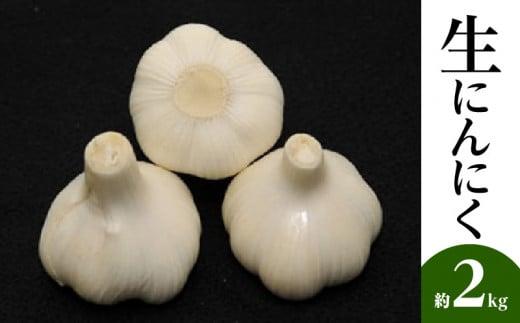 生にんにく 約2kg【2026-5月上旬～2026-6月上旬配送】