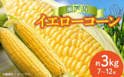 ＼寄附額改定／瀬戸内イエローコーン 約3kg【2026-6月上旬～2026-7月中旬配送】