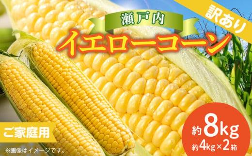 訳あり ご家庭用 瀬戸内イエローコーン 約8kg【2026-6月上旬～2026-7月中旬配送】