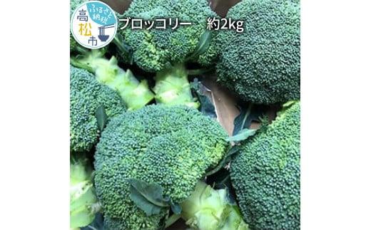 ブロッコリー 約2kg【2025-11月中旬～2026-5月下旬配送】
