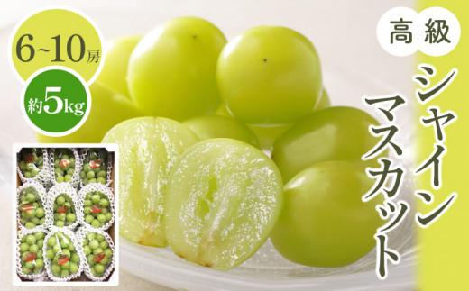 高級  シャインマスカット 約5kg【2026-7月下旬～2026-8月下旬配送】