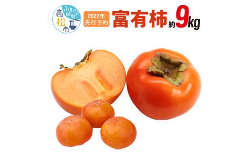 富有柿　約9kg【2025-10月下旬～2025-12月中旬配送】