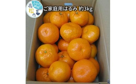 訳あり ご家庭用 はるみ 約3kg【2026-2月上旬～2026-3月下旬配送】