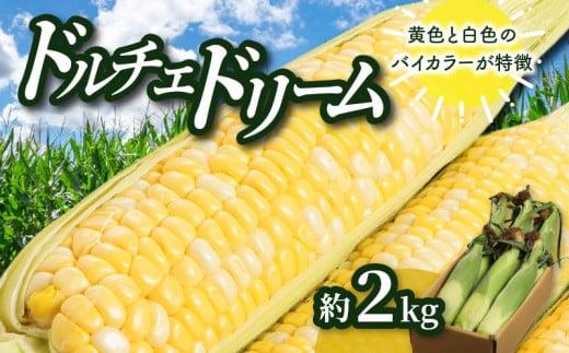 ＼寄附額改定／ドルチェドリーム 約2kg(高松市)【2026年6月上旬～2026年7月上旬配送】