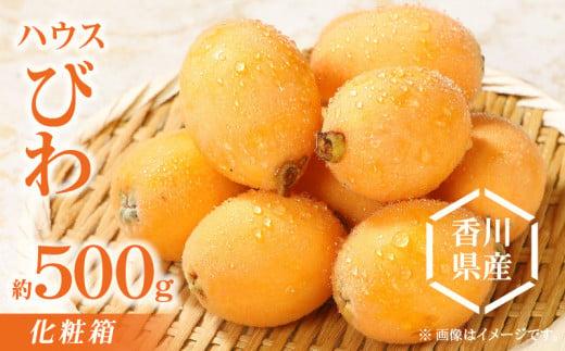 ハウスびわ化粧箱 約500g【2026-4月中旬～2026-5月上旬配送】