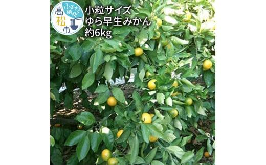 小粒サイズ ゆら早生 みかん 約6kg 【2025-9月下旬～2025-11月上旬配送】