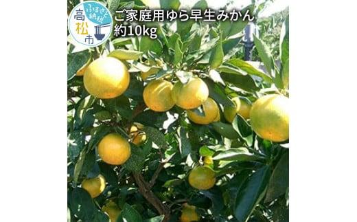 ご家庭用 ゆら早生 みかん 約10kg【2026-9月下旬～2026-11月上旬配送】