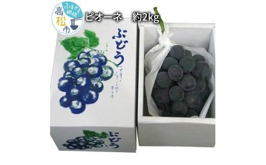 ピオーネ　約2kg【2026-7月中旬～2026-9月下旬配送】