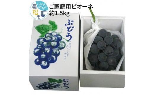 訳あり ご家庭用 ピオーネ 約1.5kg【2026-8月中旬～2026-9月下旬配送】