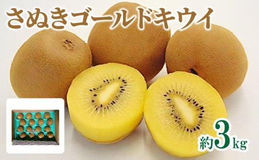 さぬきゴールドキウイ　約3kg【2025-10月中旬～2026-1月下旬配送】