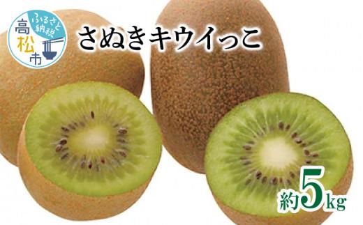 さぬきキウイっこ　約5kg【2025-10月下旬～2025-12月下旬配送】