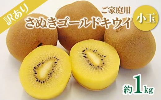 訳あり ご家庭用 さぬきゴールドキウイ (小玉) 約1kg【2025年10月中旬～2026年1月下旬配送】