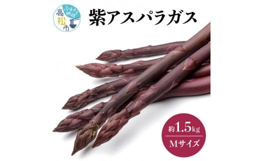 貴重で甘みが強い! 紫アスパラガス ( Mサイズ ) 約1.5kg【2026-6月上旬～2026-10月中旬配送】
