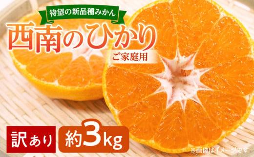 【訳あり 】待望の新品種みかん　西南のひかり　ご家庭用　約3kg【2025-12月上旬～2026-1月上旬配送】