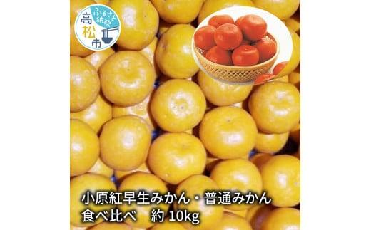 小原紅早生みかん・普通みかん　食べ比べ　約10kg【2025-11月中旬～2026-1月中旬配送】